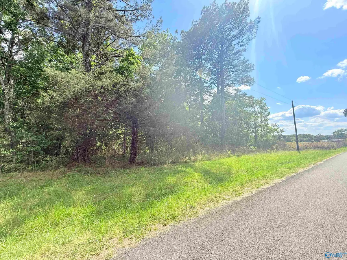 18 Acres Water Tank Road, Union Grove, AL 35175 - #1