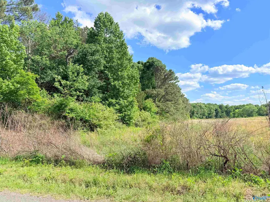 18 Acres Water Tank Road, Union Grove, AL 35175 - #3