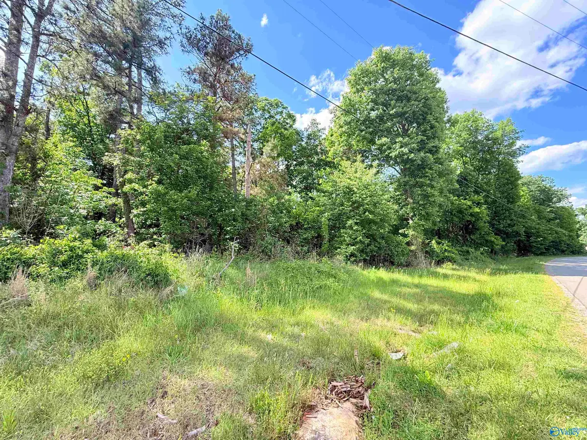 22 acres Water Tank Road, Union Grove, AL 35175 - #1