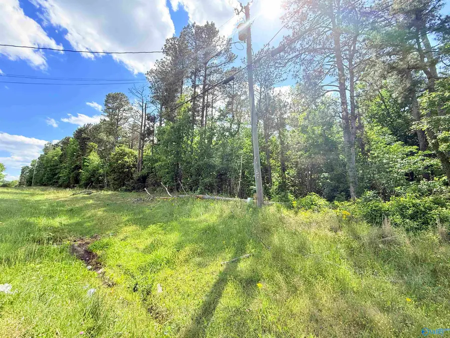 22 acres Water Tank Road, Union Grove, AL 35175 - #2