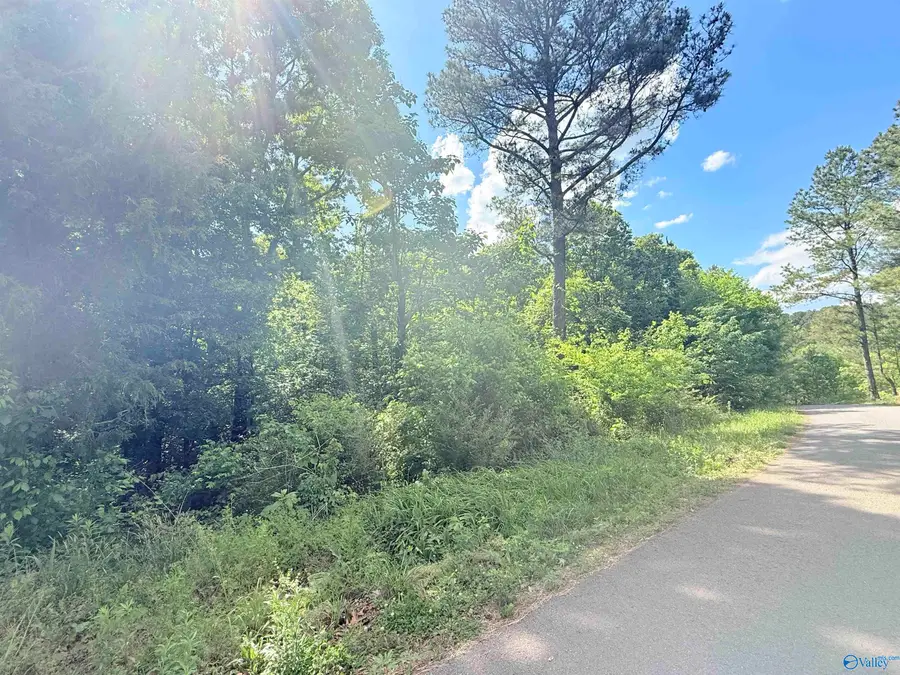 22 acres Water Tank Road, Union Grove, AL 35175 - #3