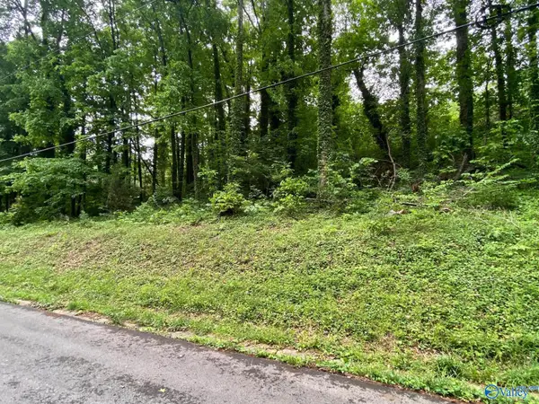Lot 6 Cherokee Road, Guntersville, AL 35976