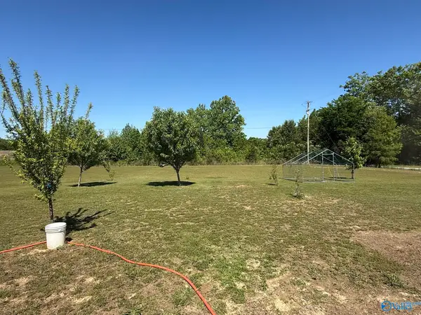 .64 ac County Road 400, Grove Oak, AL 35975