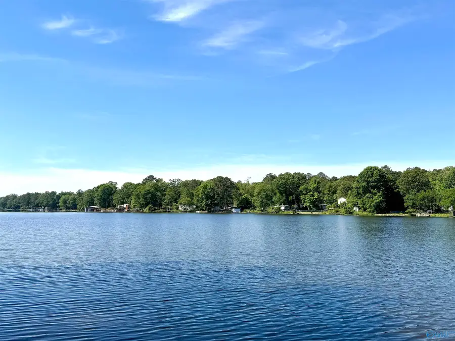 4524 Shore Drive, Ashville, AL 35953 - #2