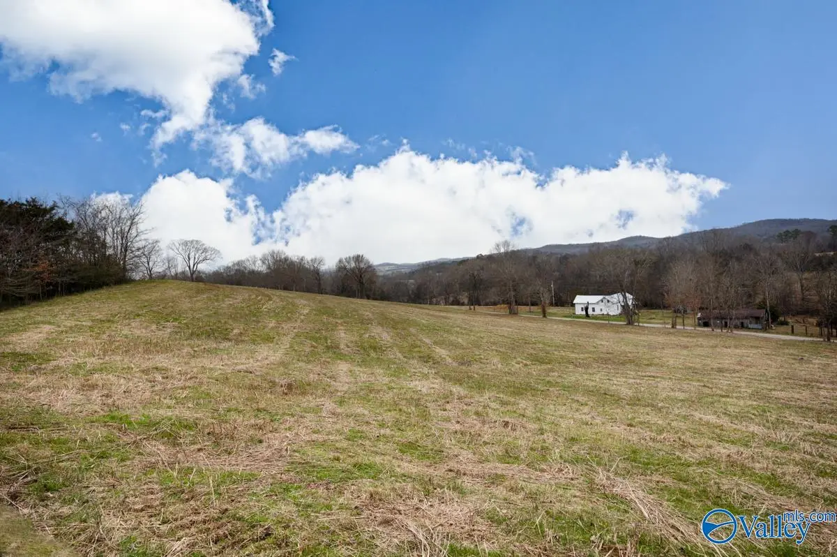 21.69 A Briar Patch Road, Prospect, TN 38477 - #1