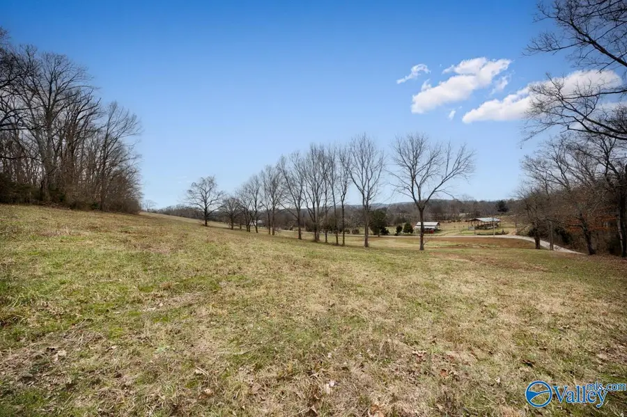 21.69 A Briar Patch Road, Prospect, TN 38477 - #2