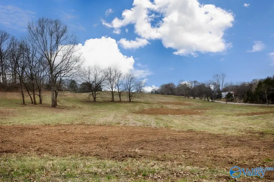 21.69 A Briar Patch Road, Prospect, TN 38477 - #3