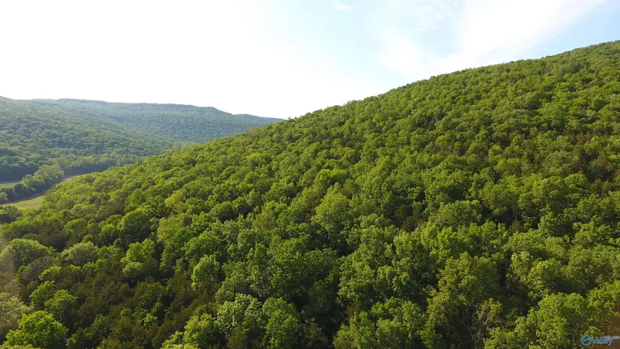 245 AC County Road 106, Trenton, AL 35774 - #2