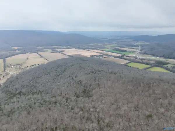 264 AC County Road 65, Paint Rock, AL 35764