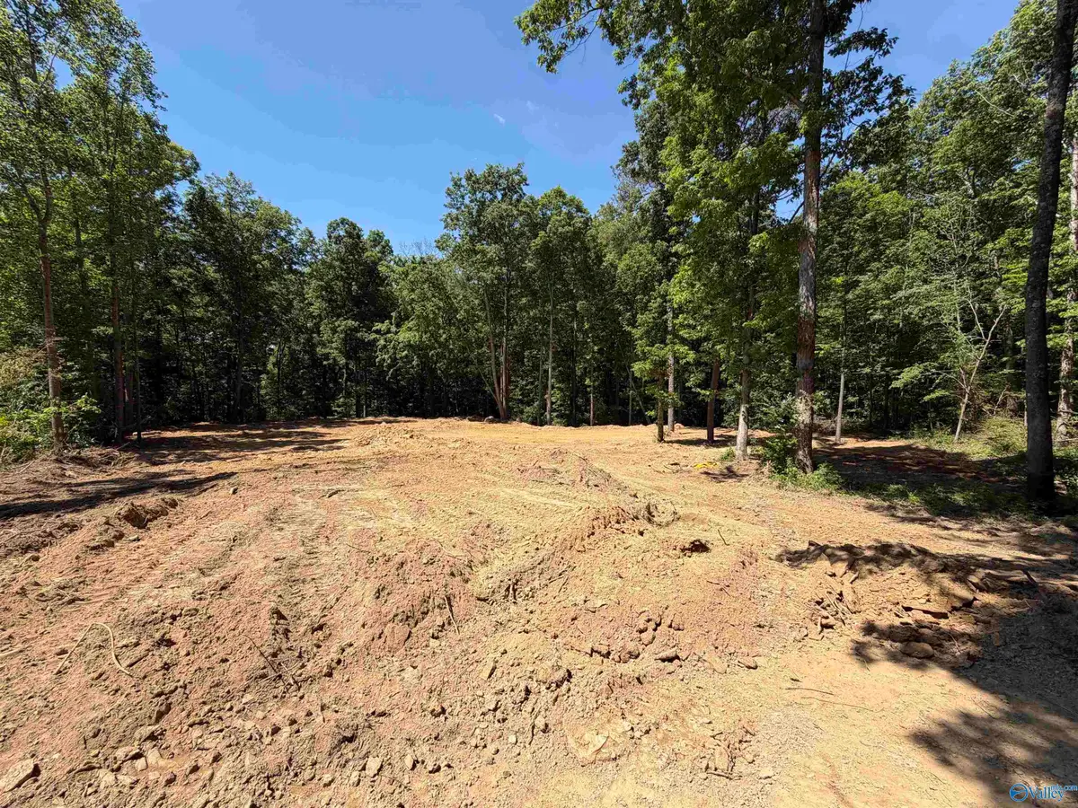 lot 18 Meadowwood Circle, Arab, AL 35016 - #1