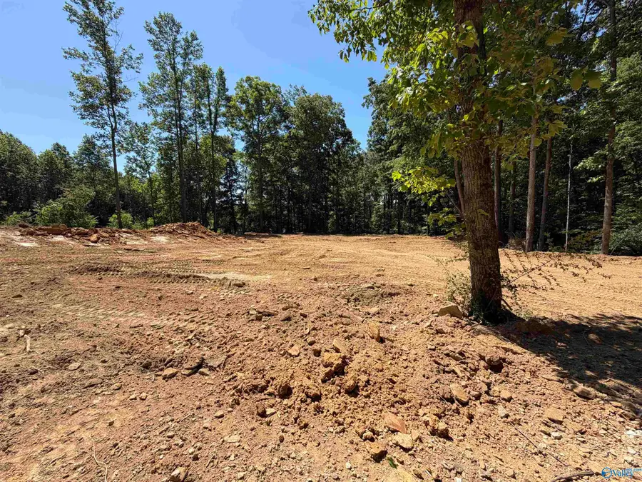 lot 18 Meadowwood Circle, Arab, AL 35016 - #3