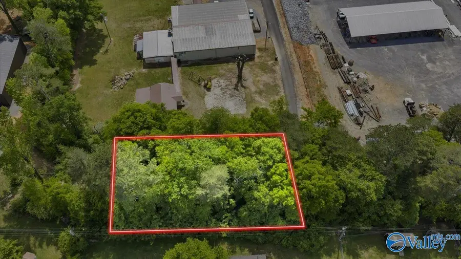 23A Elizabeth Drive Ne, Fort Payne, AL 35967 - #2