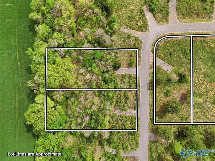 lot 8 Trails End Drive, Athens, AL 35611 - #3