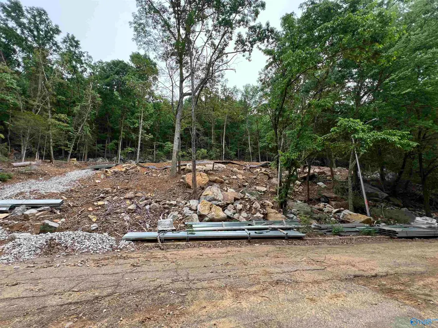 236 Cobb Road, Gurley, AL 35748 - #3