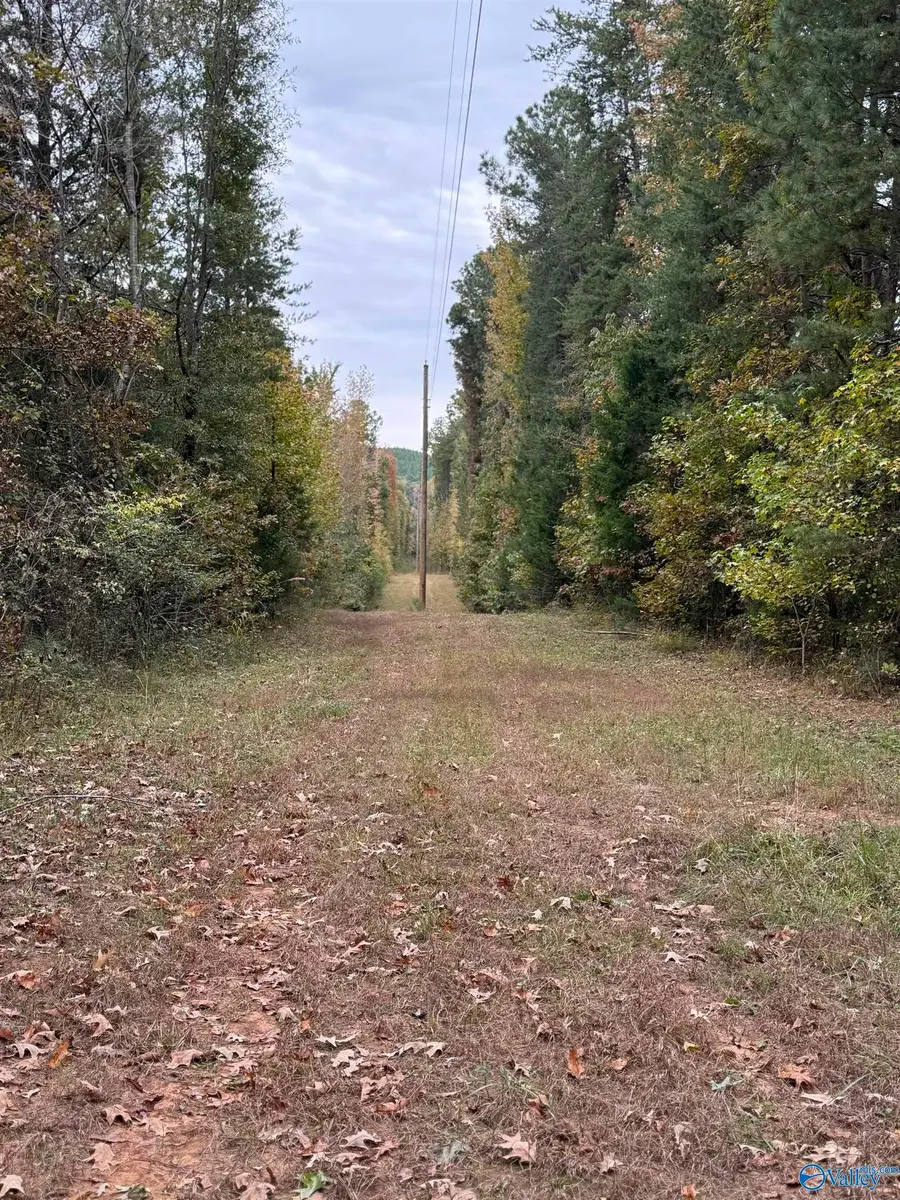 12310 County Road 7, Moulton, AL 35650 - #3