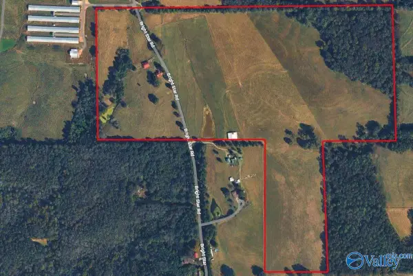 695 Bright Star Road, Horton, AL 35980