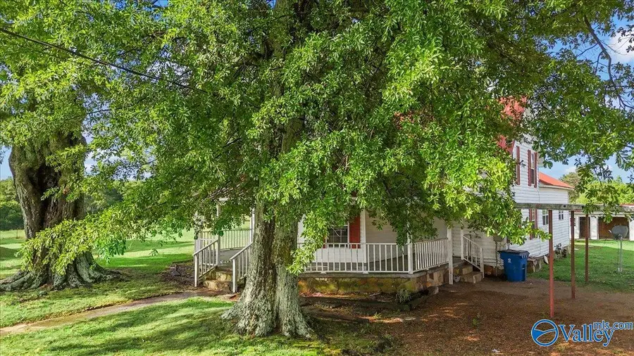 695 Bright Star Road, Horton, AL 35980 - #3