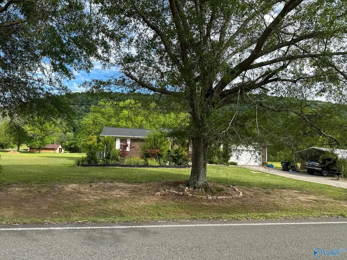 5149 Green Valley Road, Southside, AL 35907 - #1