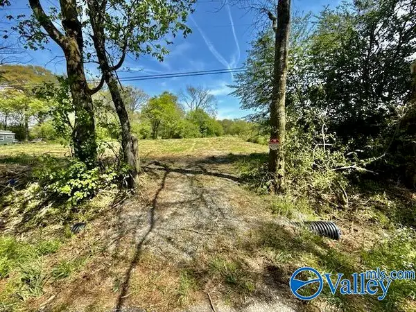 4117 Mat Morrow Road, Arab, AL 35016