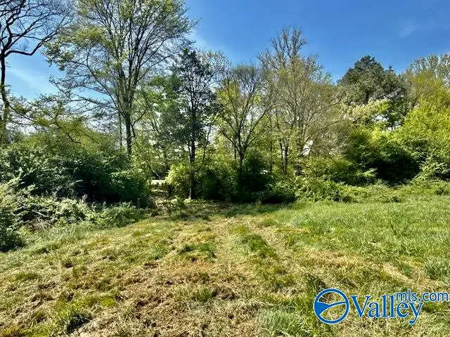 4117 Mat Morrow Road, Arab, AL 35016 - #3