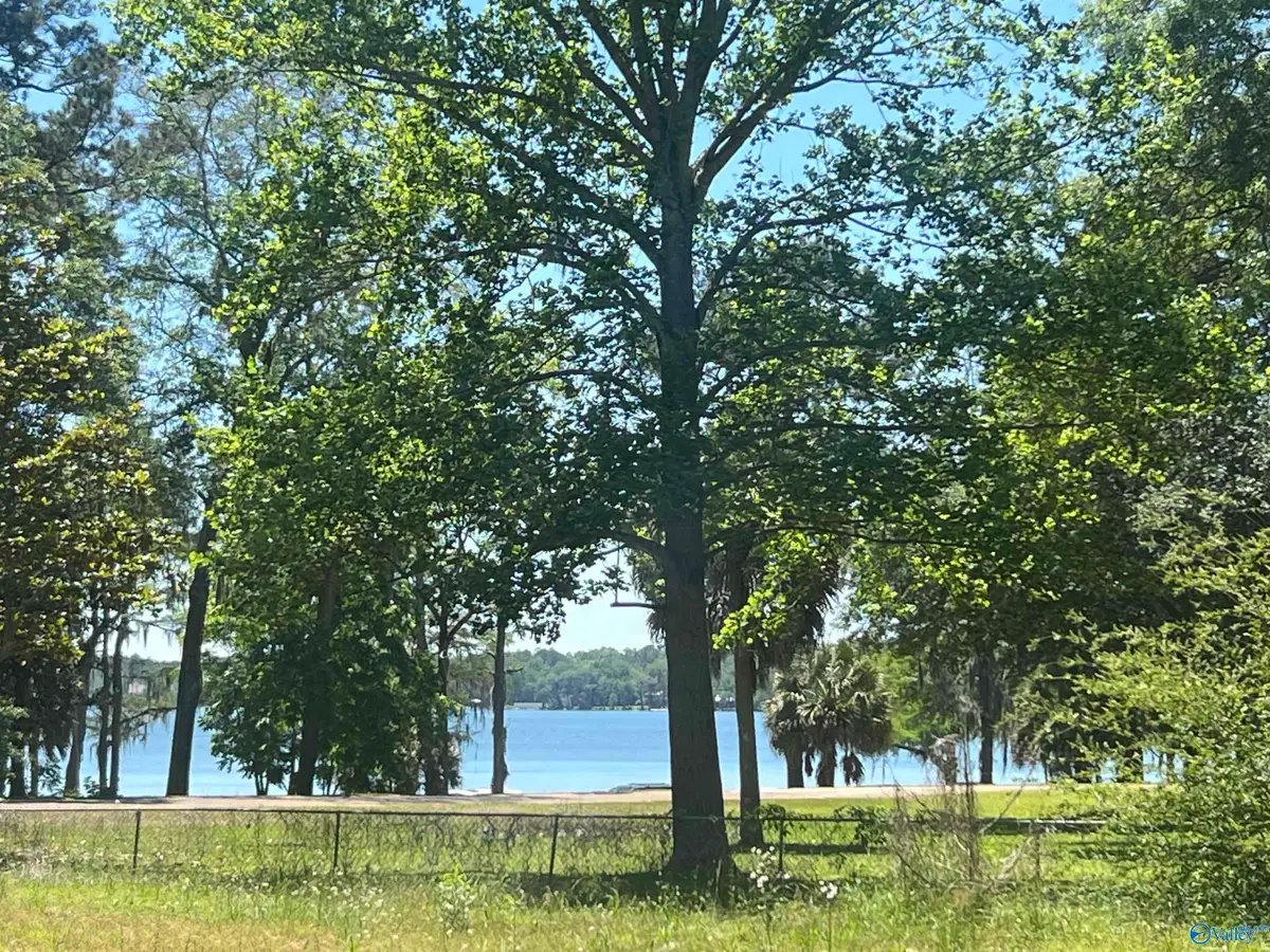 23323 4th Avenue, Florala, AL 36442 - #1