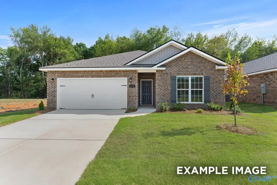 131 Bella May Lane, New Market, AL 35761 - #3
