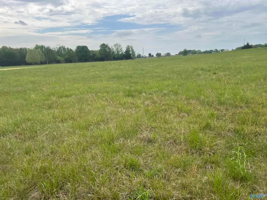Tract 2 County Road 155, Anderson, AL 35610 - #3