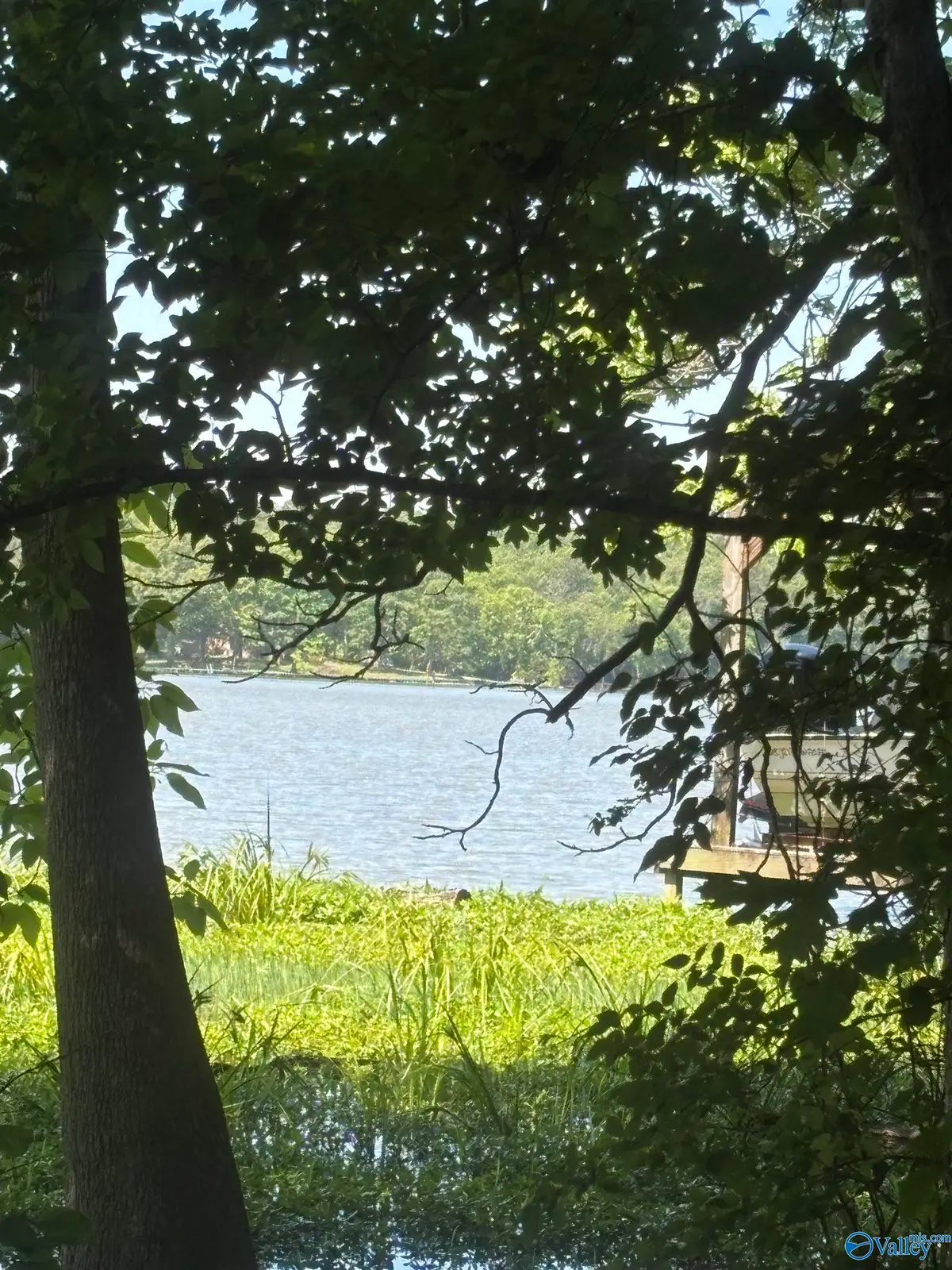 Lot 8 County Road 567, Gaylesville, AL 35973 - #1