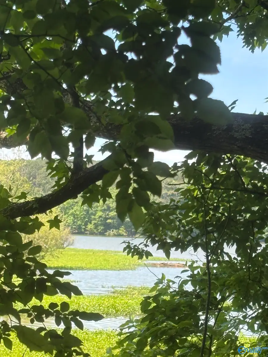 Lot 8 County Road 567, Gaylesville, AL 35973 - #2