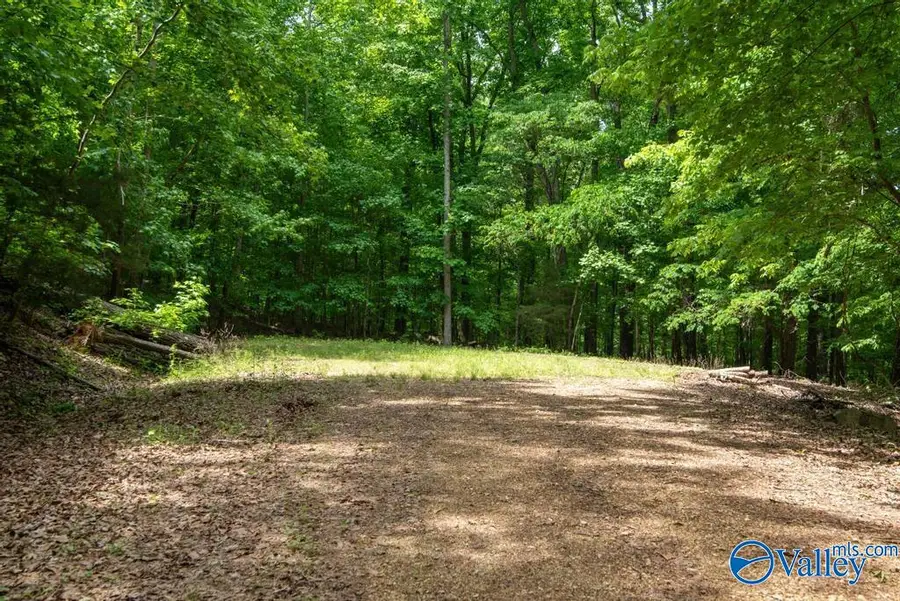 L26 Snug Harbor Road, Grant, AL 35747 - #2