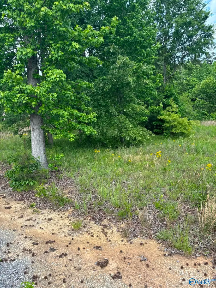6447 Alabama Highway 227, Guntersville, AL 35976 - #2