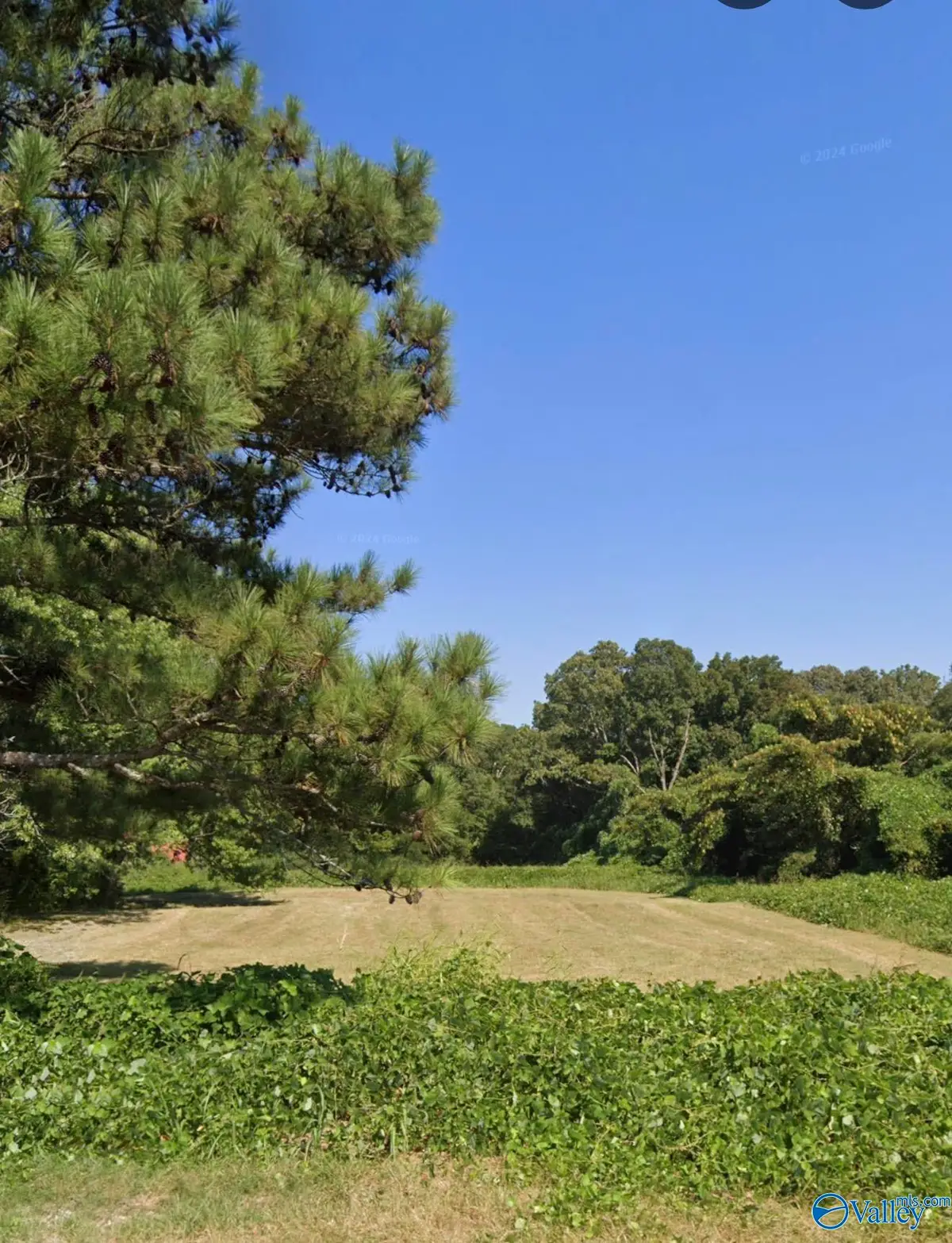 1.10 Apollo Road, Arab, AL 35016 - #1