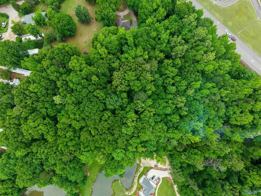 Lot 1 Palomino Trail, Birmingham, AL 35242 - #2