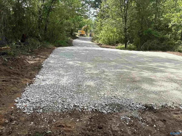 3.64 Us Highway 278, Walnut Grove, AL 35952