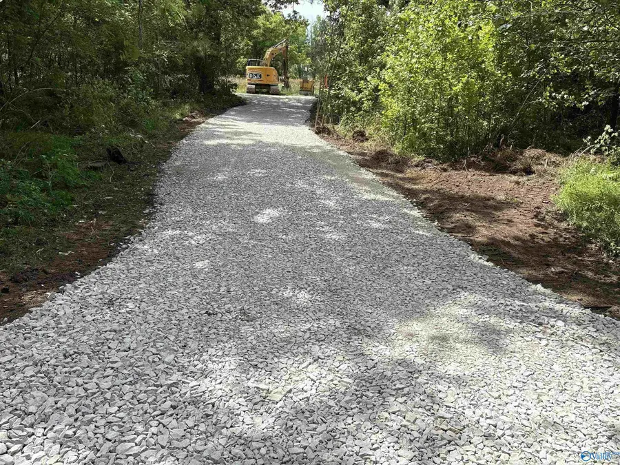 3.64 Us Highway 278, Walnut Grove, AL 35952 - #2