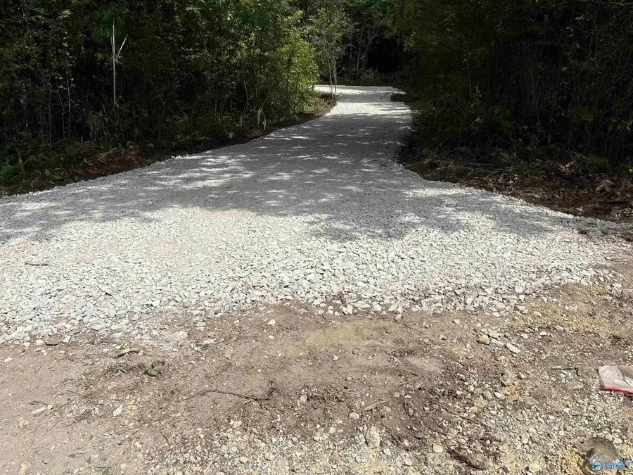 3.64 Us Highway 278, Walnut Grove, AL 35952 - #3