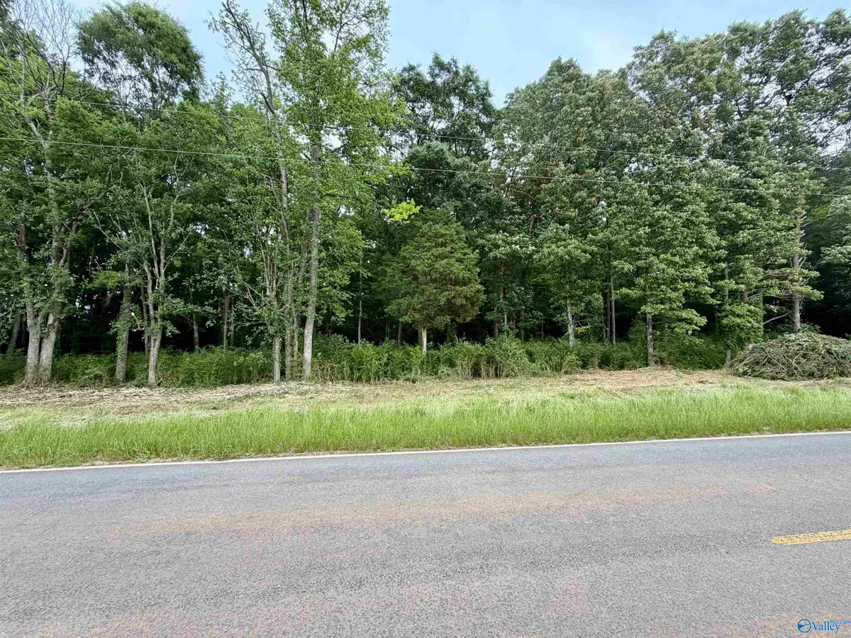 3.44 County Road 91, Gaylesville, AL 35973 - #1