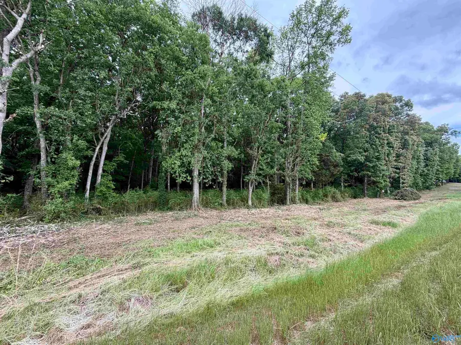 3.44 County Road 91, Gaylesville, AL 35973 - #2