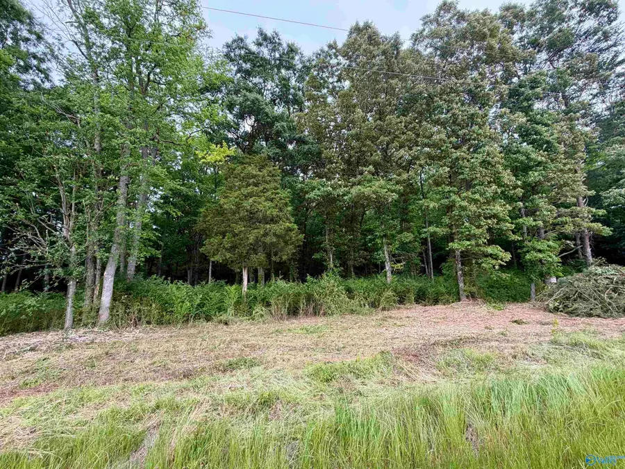 3.44 County Road 91, Gaylesville, AL 35973 - #3