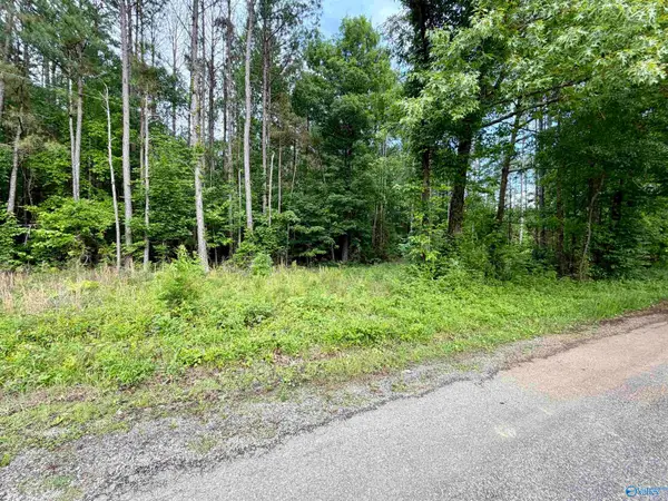 3.90 County Road 235, Leesburg, AL 35983