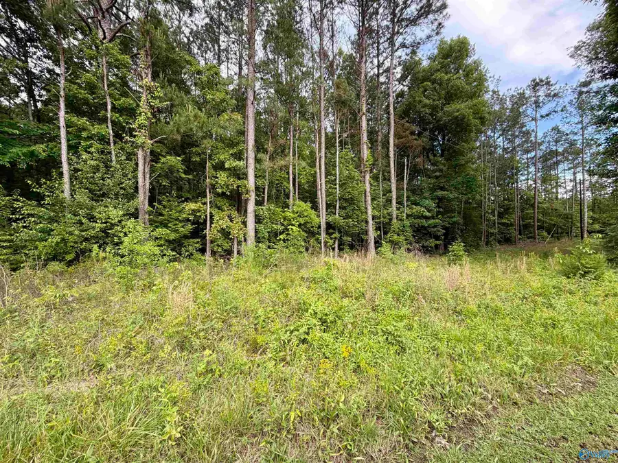 3.90 County Road 235, Leesburg, AL 35983 - #2