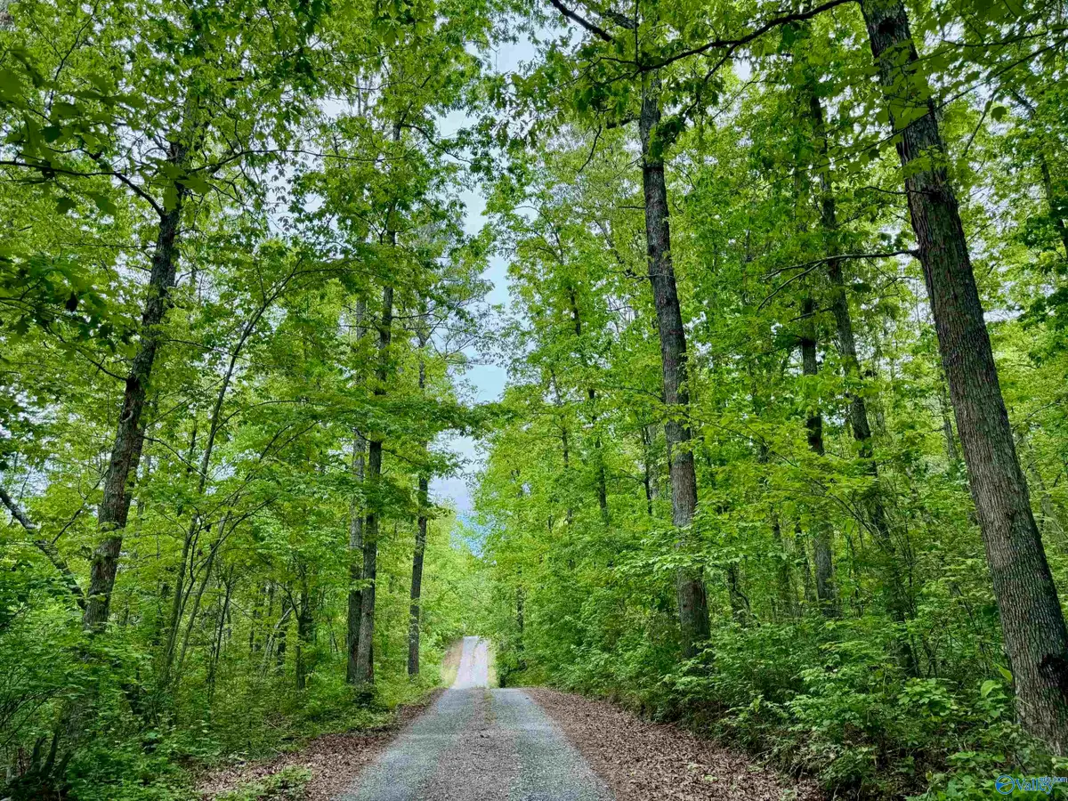 Lot 40 Road 9050, Mentone, AL 35984 - #1
