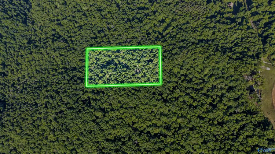 6+/- Acres County Road 250, Scottsboro, AL 35768 - #3
