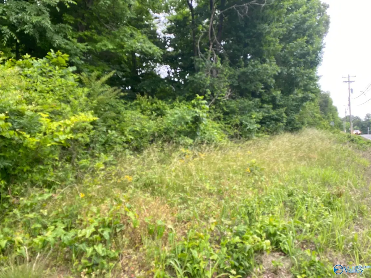Lot 16 Highway 227, Guntersville, AL 35976 - #1