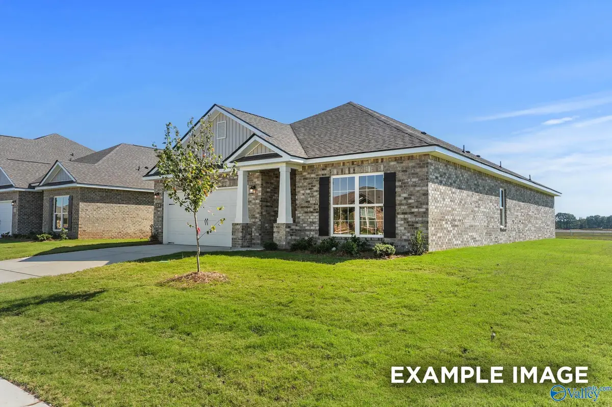 132 Cedar Lake Road, Toney, AL 35773 - #1