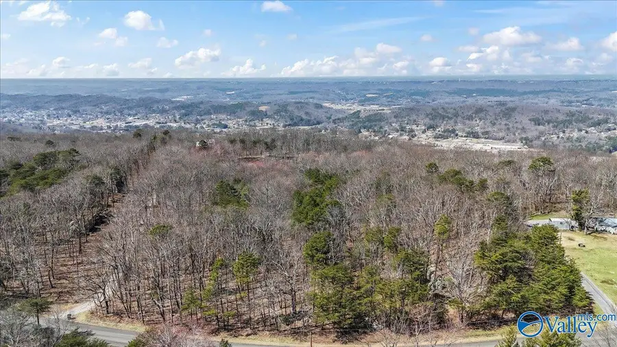 3180 Citadel Rock Road, Fort Payne, AL 35967 - #2