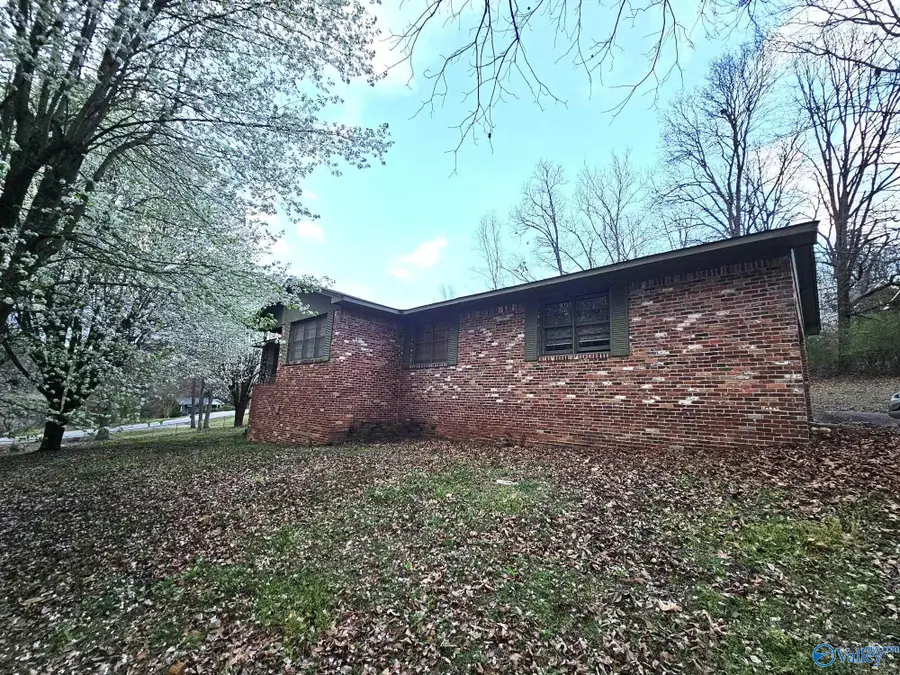 302 Jo Cyn Drive, Glencoe, AL 35905 - #2