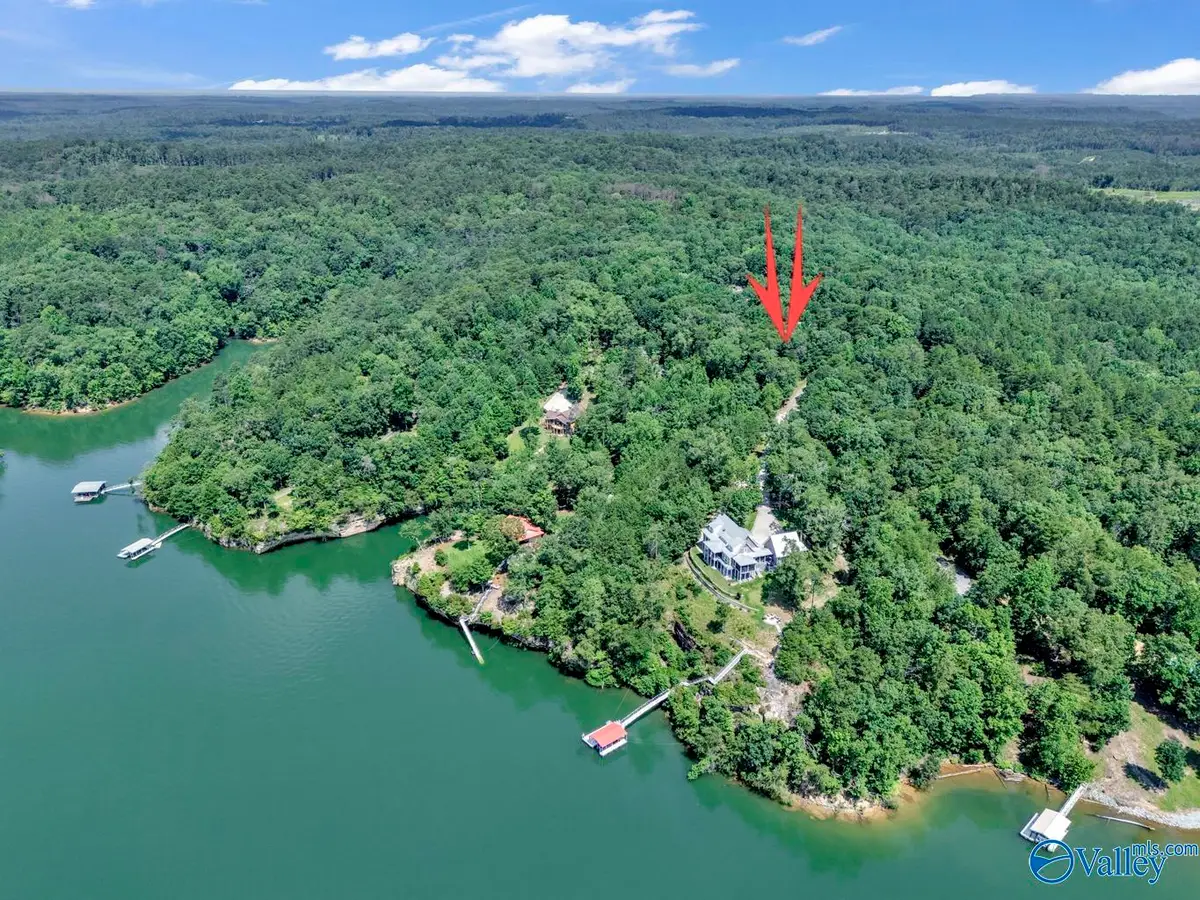 Lot 6 Whippoorwill Drive, Double Springs, AL 35553 - #1