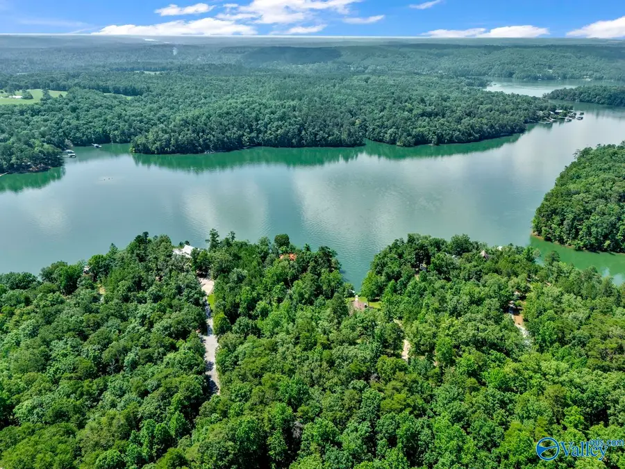 Lot 6 Whippoorwill Drive, Double Springs, AL 35553 - #2
