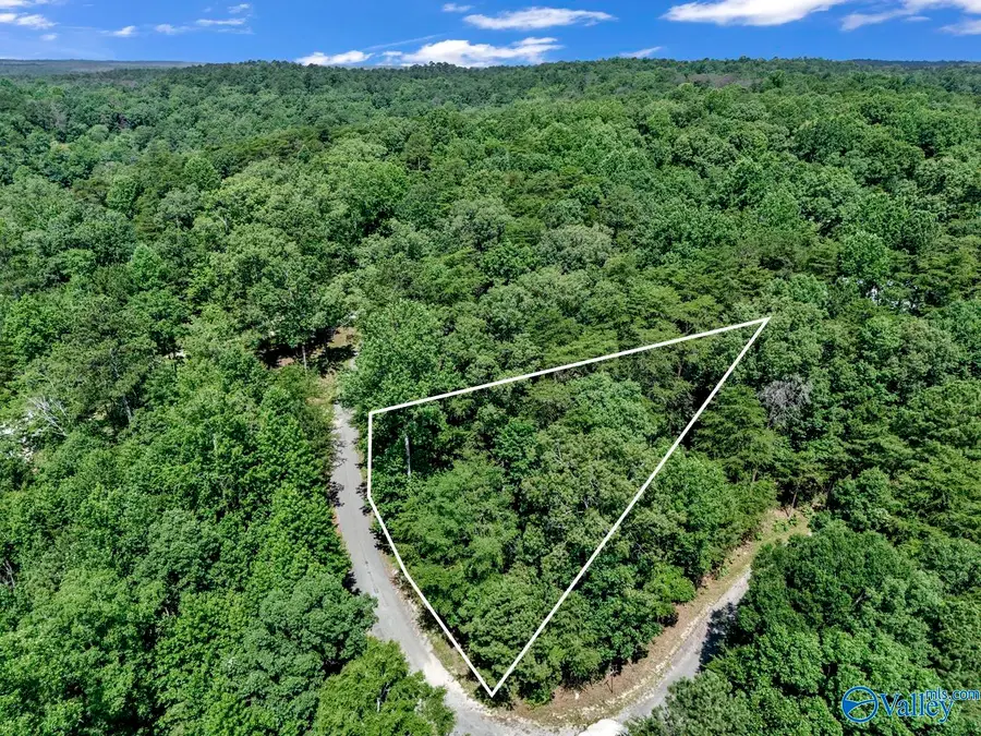 Lot 6 Whippoorwill Drive, Double Springs, AL 35553 - #3